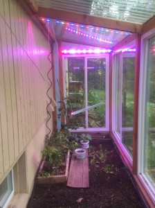 Z-Lum Pink LED Light bar used in Greenhouse